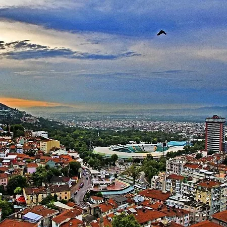 Ozan 3*